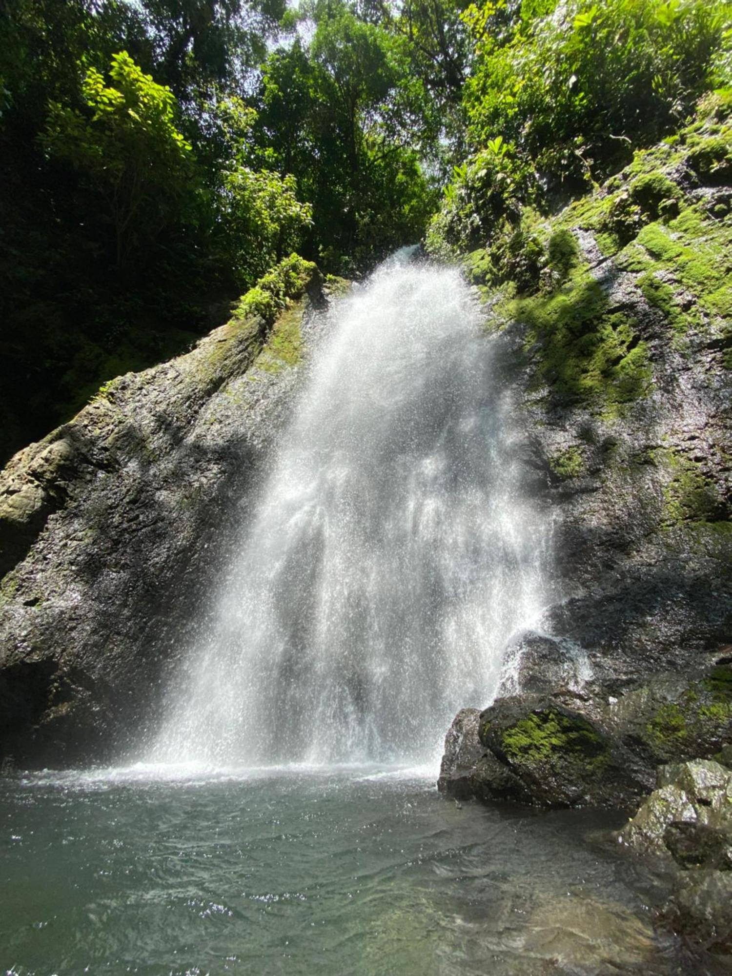 Cabinas Corcovado Green Parrot, Los Planes Drake Drake Bay Zewnętrze zdjęcie
