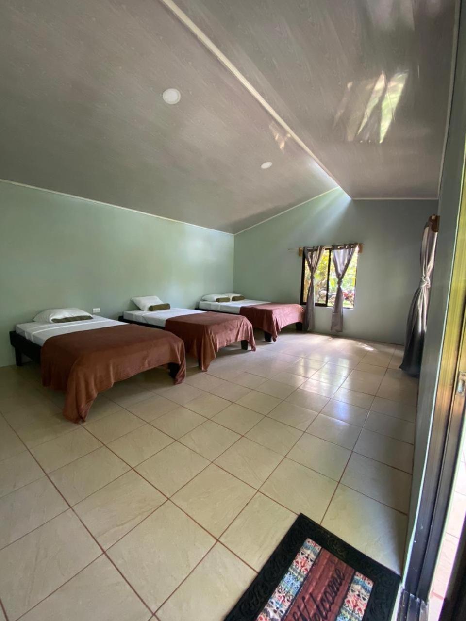 Cabinas Corcovado Green Parrot, Los Planes Drake Drake Bay Zewnętrze zdjęcie