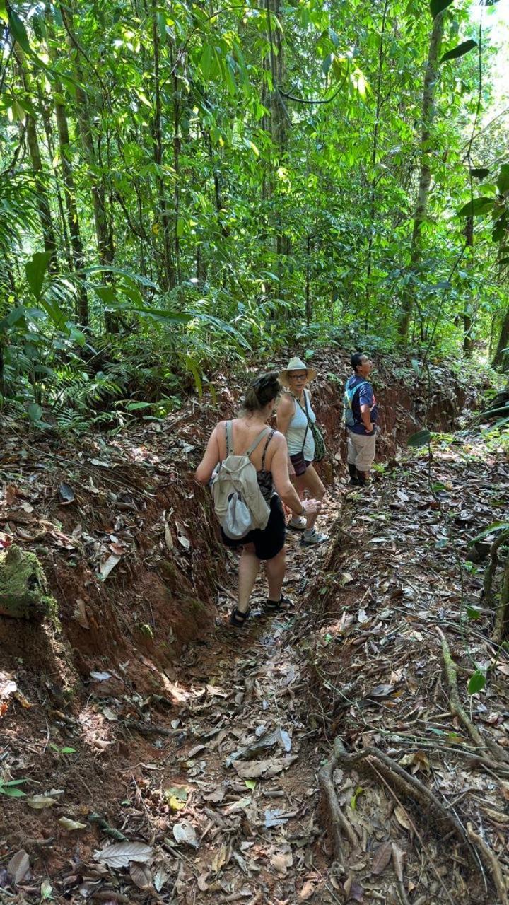 Cabinas Corcovado Green Parrot, Los Planes Drake Drake Bay Zewnętrze zdjęcie