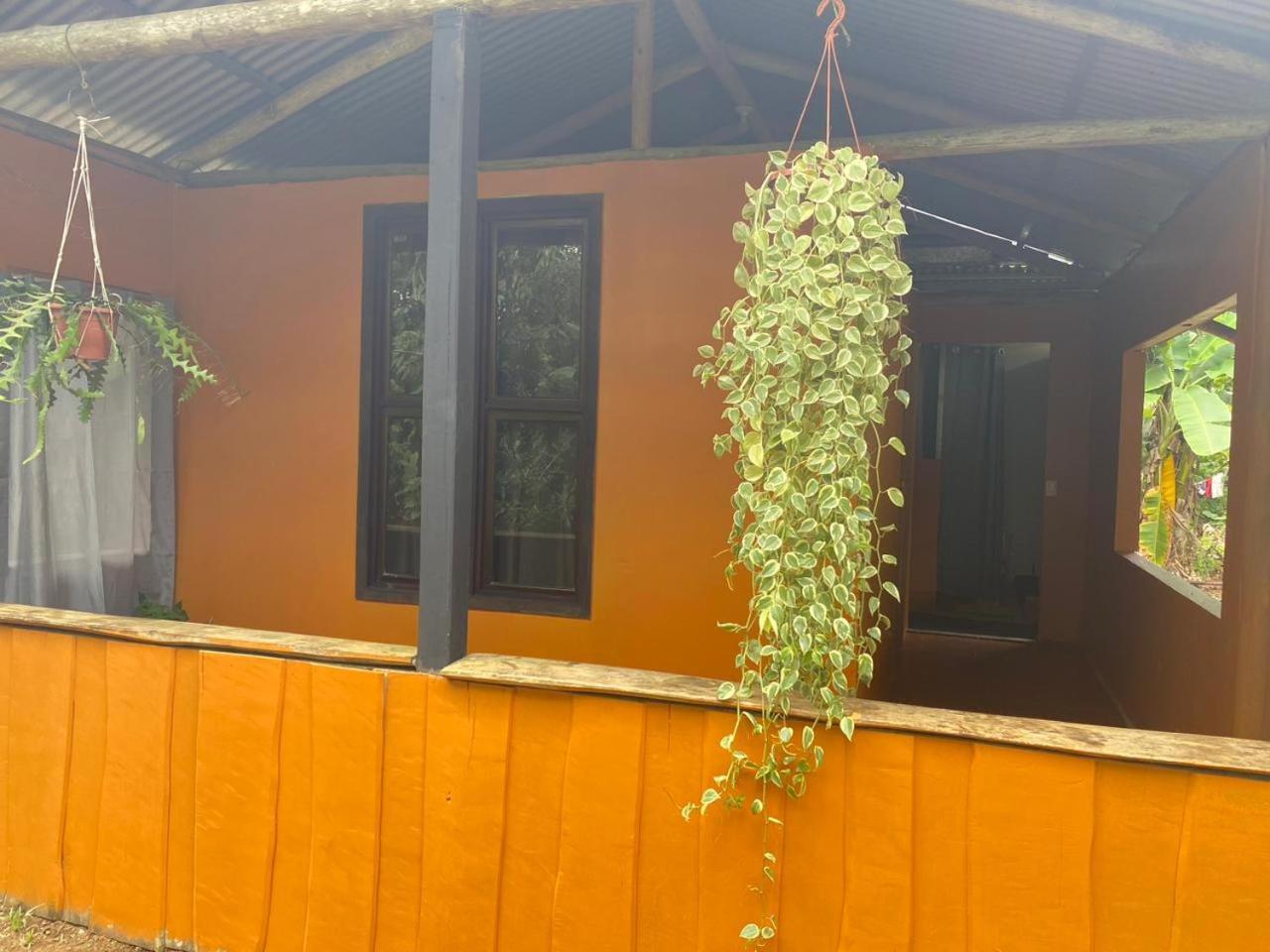 Cabinas Corcovado Green Parrot, Los Planes Drake Drake Bay Zewnętrze zdjęcie