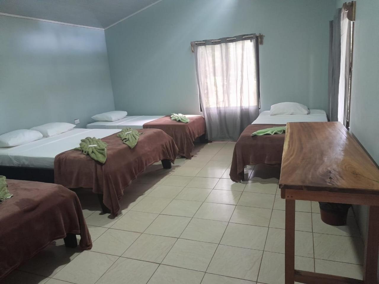 Cabinas Corcovado Green Parrot, Los Planes Drake Drake Bay Zewnętrze zdjęcie