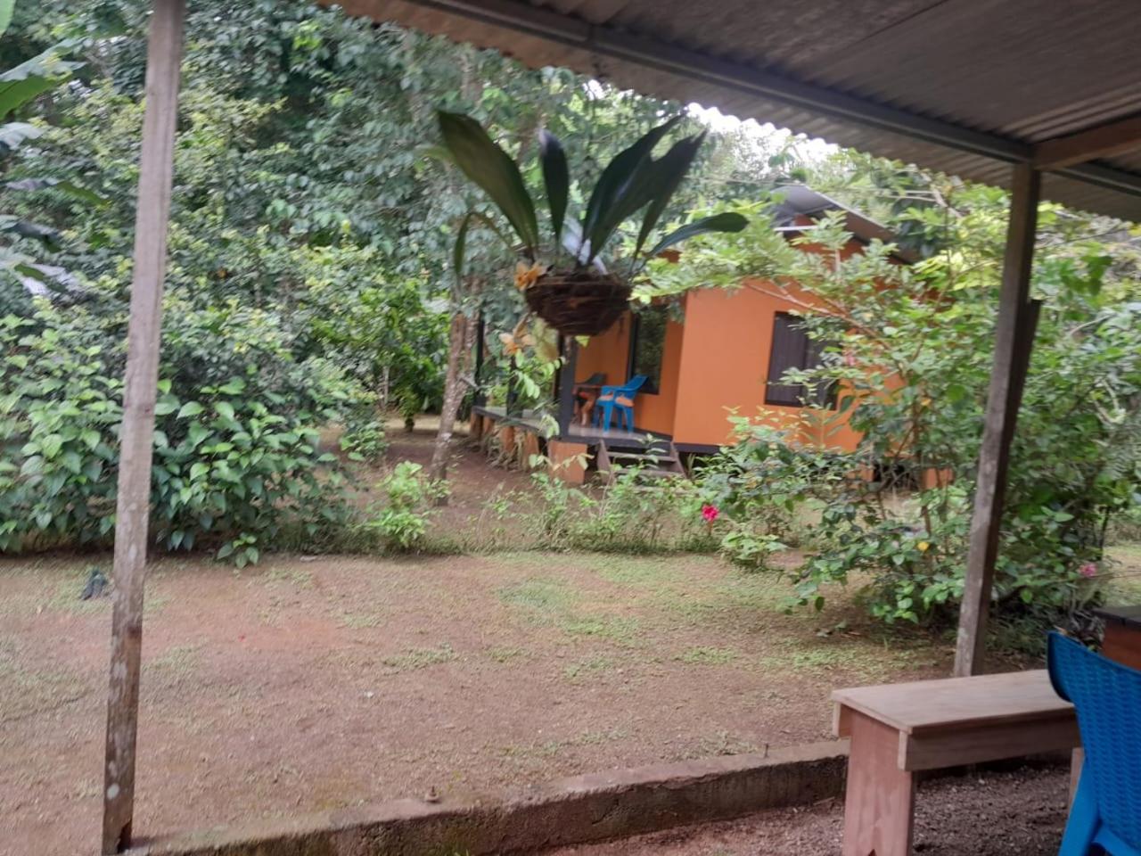 Cabinas Corcovado Green Parrot, Los Planes Drake Drake Bay Zewnętrze zdjęcie