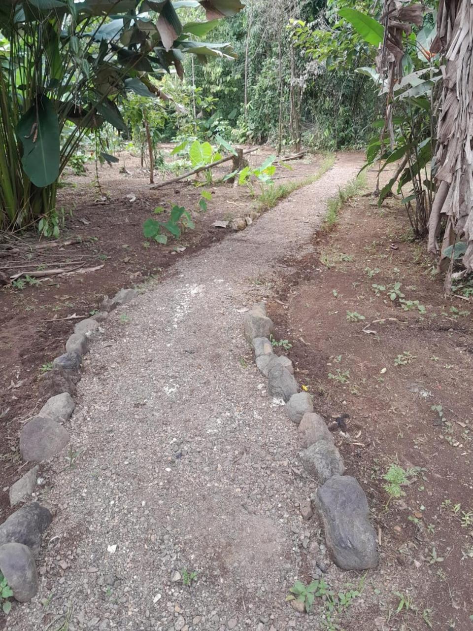 Cabinas Corcovado Green Parrot, Los Planes Drake Drake Bay Zewnętrze zdjęcie