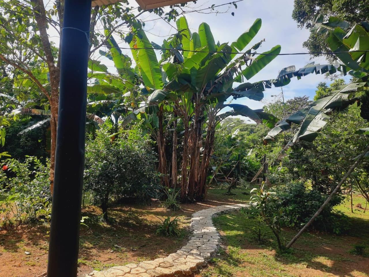 Cabinas Corcovado Green Parrot, Los Planes Drake Drake Bay Zewnętrze zdjęcie